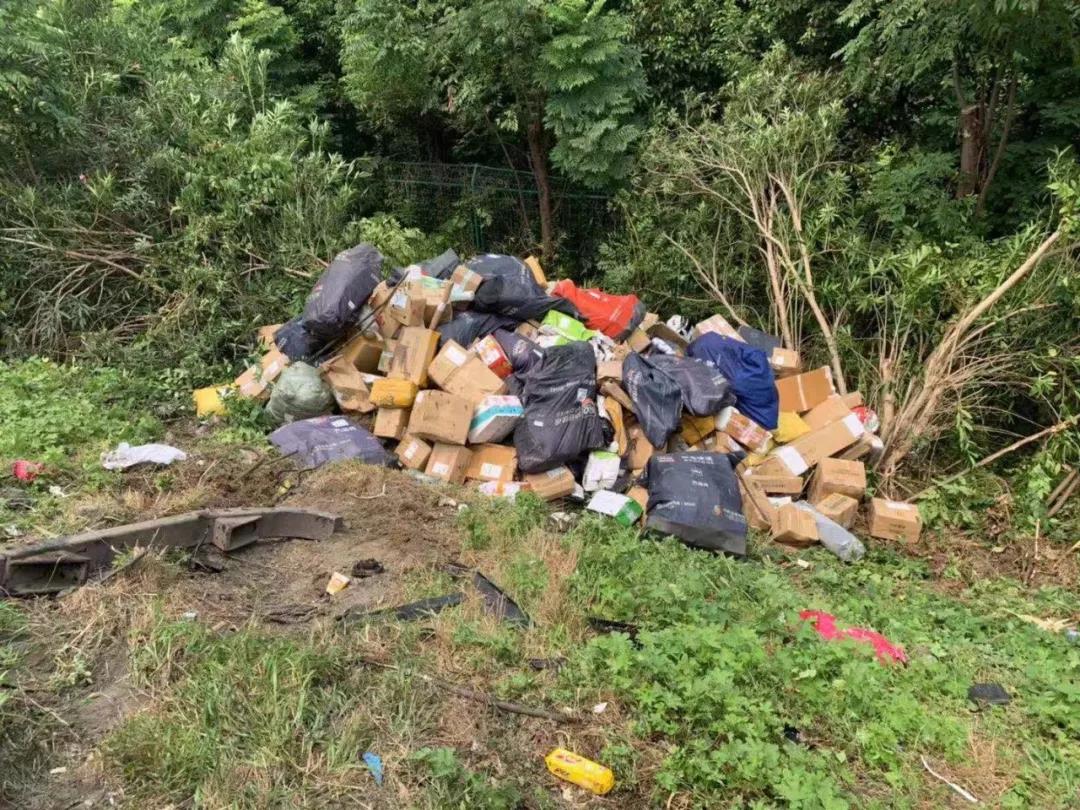 1567061912789083390.jpg 28.jpg