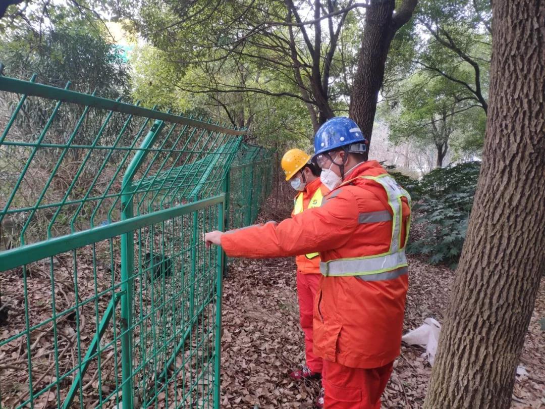 1581512042878005465.jpg 1581512042878005465.jpg