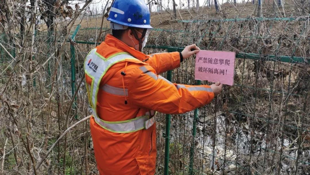 1581512062378010566.jpg 1581512062378010566.jpg