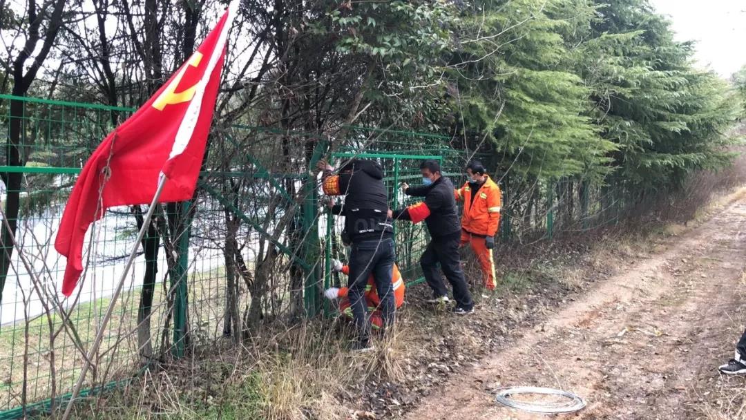 1581598417851018195.jpg 1581598417851018195.jpg