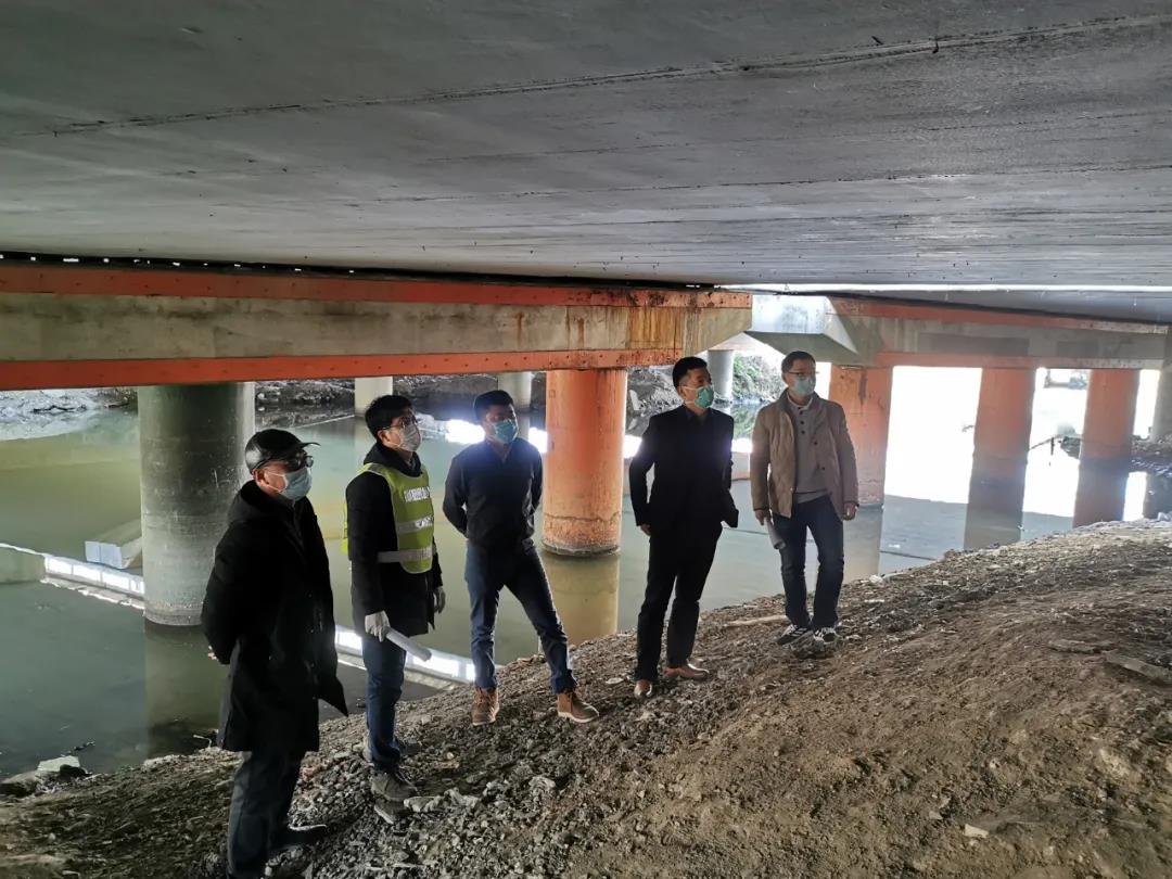 1584325500292036427.jpg 1584325500292036427.jpg