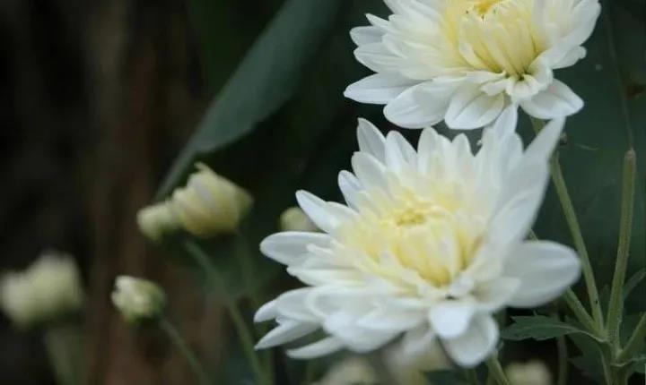 1586243079337014136.jpg 1586243079337014136.jpg