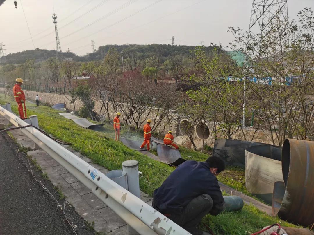 1586488591922060082.jpg 1586488591922060082.jpg