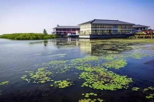 1587006112337076943.jpg 1587006112337076943.jpg