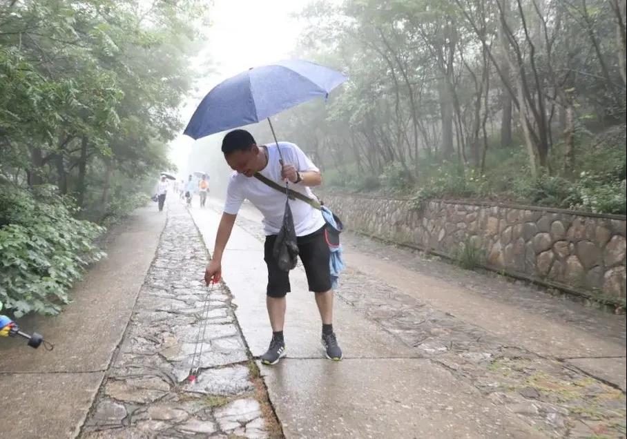 1591606804530051589.jpg 1591606804530051589.jpg