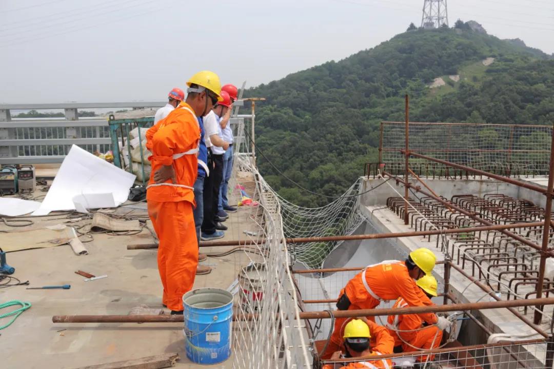 1593498486283044350.jpg 1593498486283044350.jpg