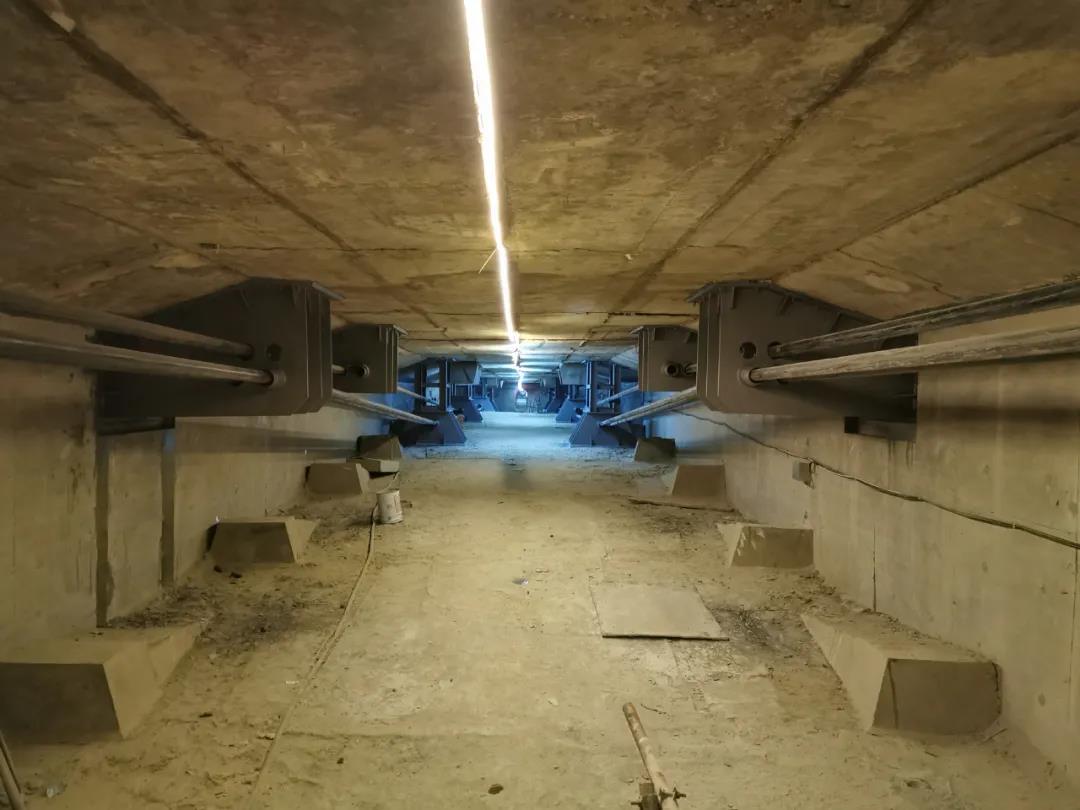 1599124235836090643.jpg 1599124235836090643.jpg