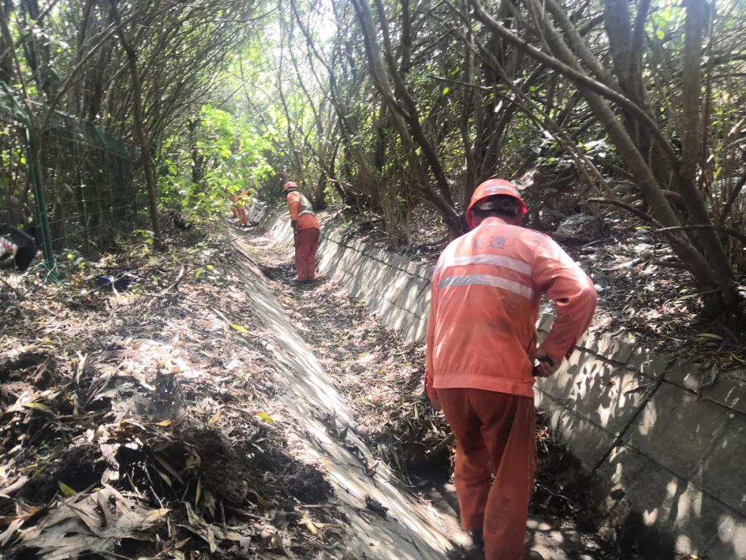 1600150991016038204.jpg 1600150991016038204.jpg