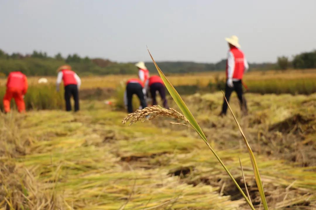 1635489645460037773.jpg 1635489645460037773.jpg