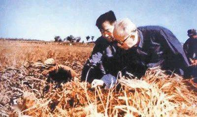 1657161861551091452.png 1657161861551091452.png