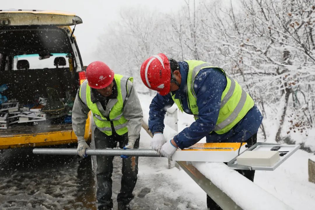 1704792693580092810.jpg 1704792693580092810.jpg