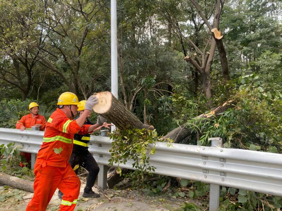 1716198506166048644.jpg 1716198506166048644.jpg