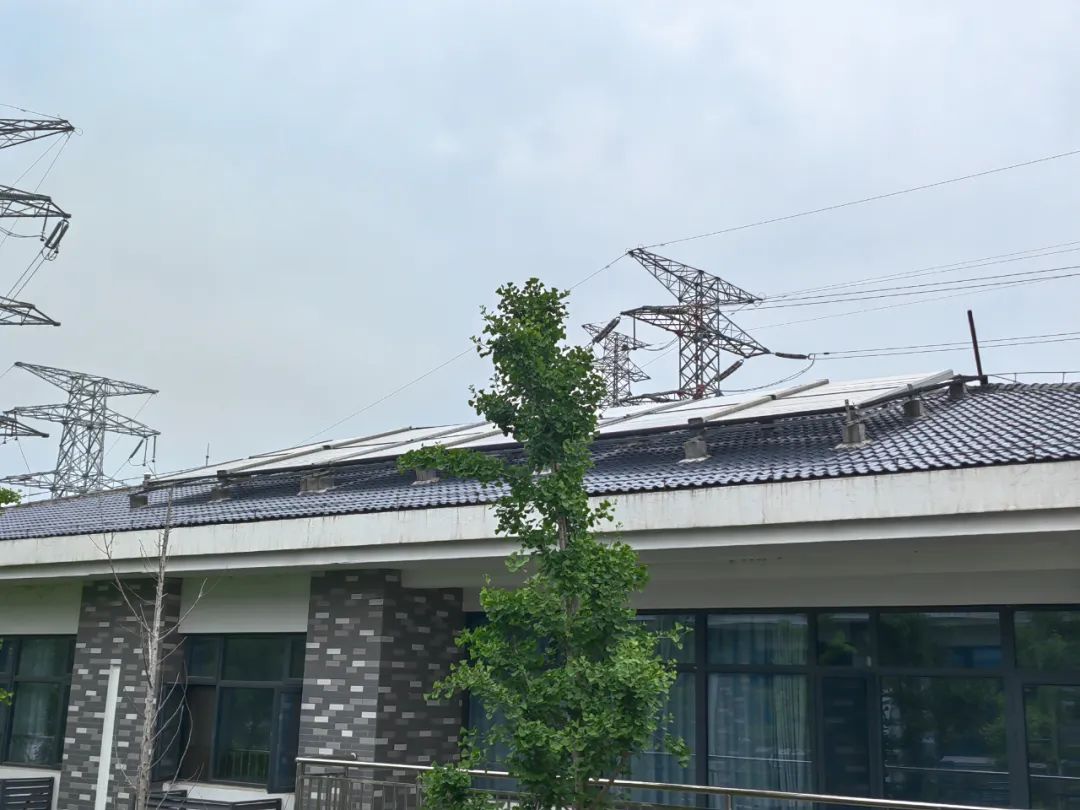 1716198536185034828.jpg 1716198536185034828.jpg