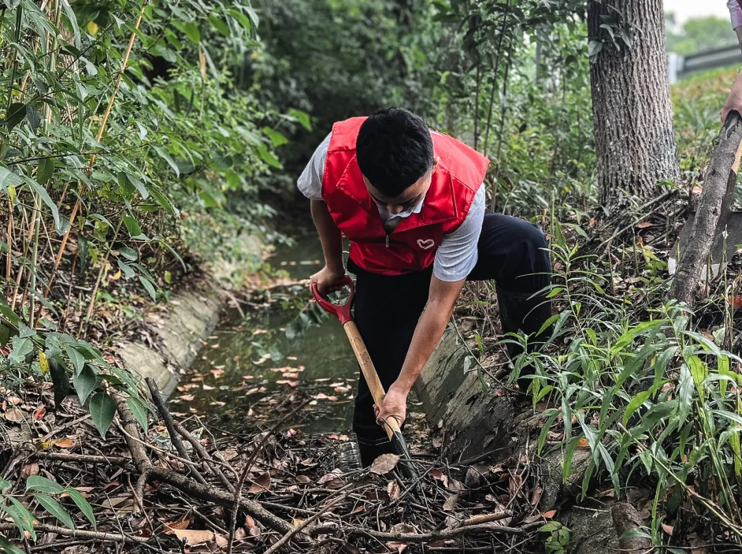 1720746310533095508.jpg 1720746310533095508.jpg