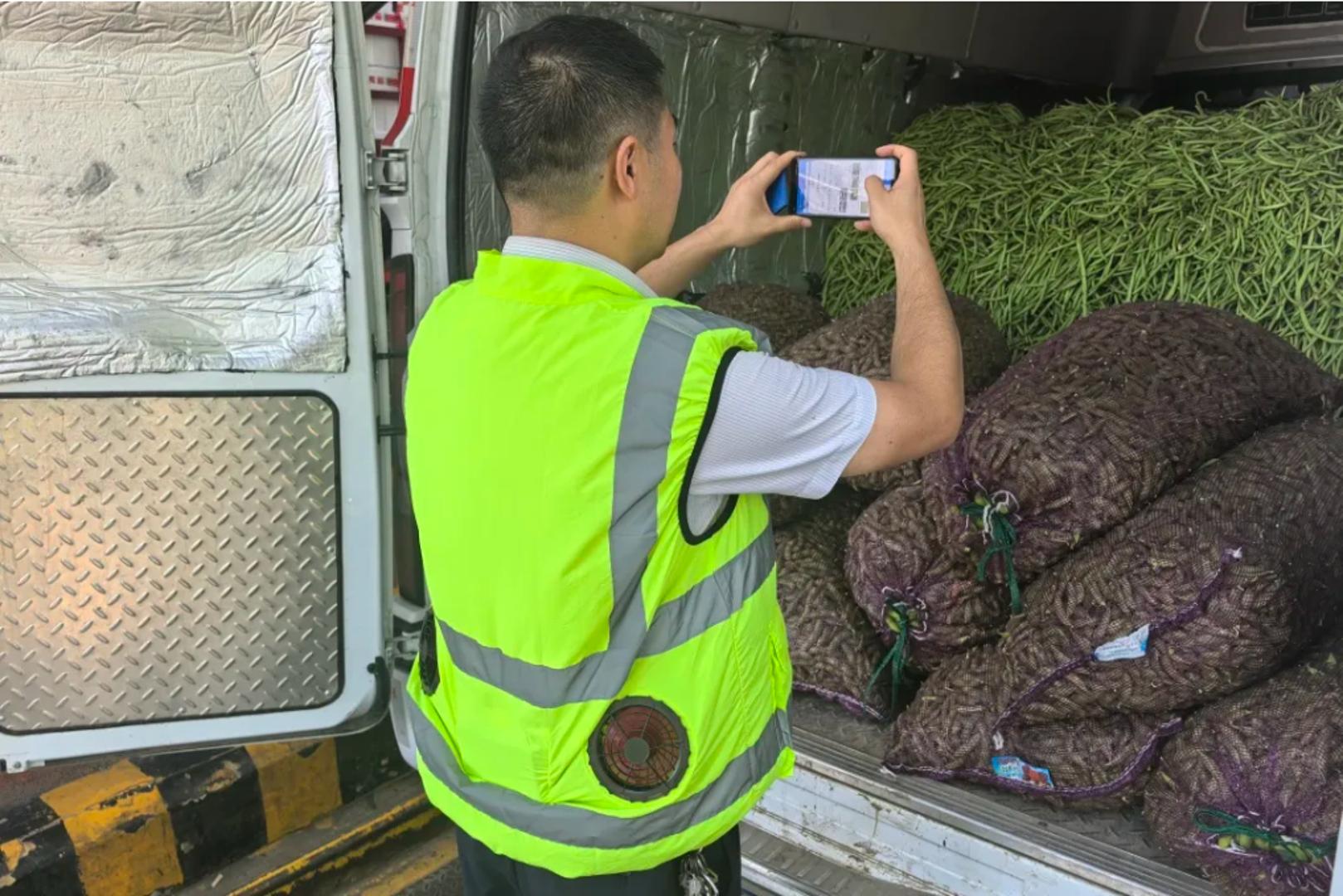 当清凉成为一种生产力